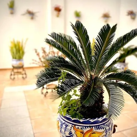 Mychoice Casa Lilia Apartment Rota